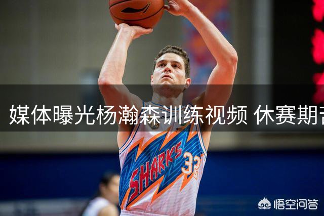 媒体曝光杨瀚森训练视频 休赛期苦练多项技能引热议