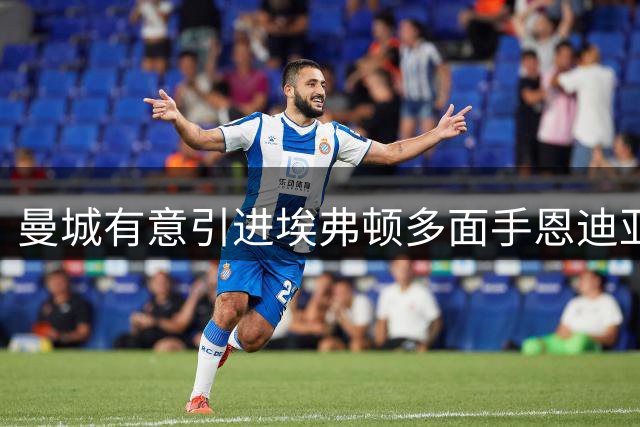 曼城有意引进埃弗顿多面手恩迪亚耶增强锋线