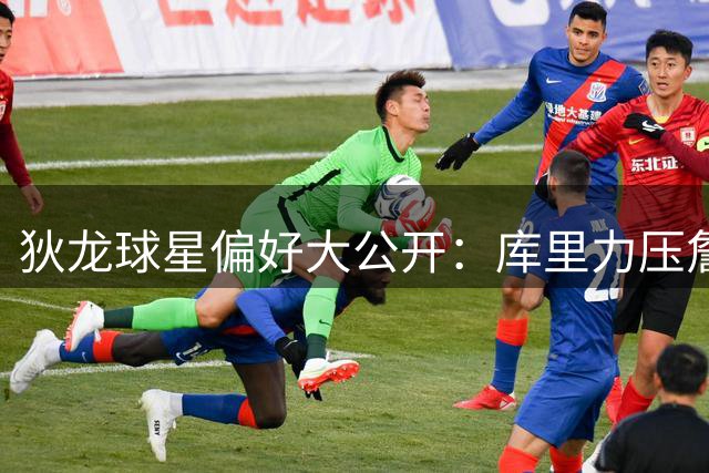 狄龙球星偏好大公开：库里力压詹杜 杜兰特胜甜瓜